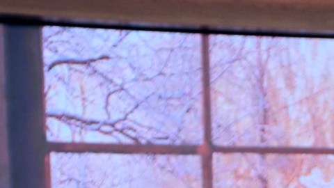 La dominicana Francisca sigue sumando éxitos a su vida.