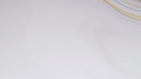 Ana Patricia Gámez.