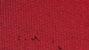 La cantante Chiquis Rivera