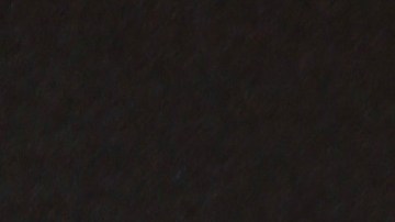 Adamari López y Chiquibaby comparten juntas en este video.