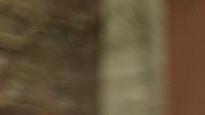 La presentadora Lili Estefan mantiene a la audiencia del programa cautiva.