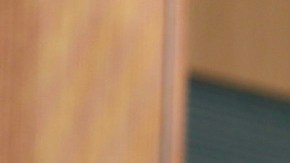 La dominicana Clarissa Molina sigue sumando experiencias laborales a su vida.