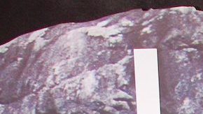 Fernanda Castillo, Erik Hayser y Flavio Medina encabezan la serie "Isla Brava" (Vix +) que presentó a su elenco estelar durante el estreno previo de la serie.