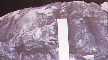 Fernanda Castillo, Erik Hayser y Flavio Medina encabezan la serie "Isla Brava" (Vix +) que presentó a su elenco estelar durante el estreno previo de la serie.