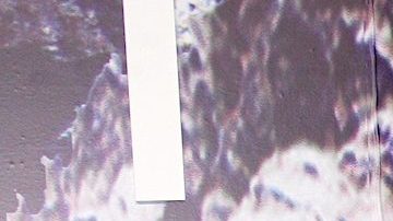 Fernanda Castillo y Erik Hayser encabezan la serie "Isla Brava" (Vix +).