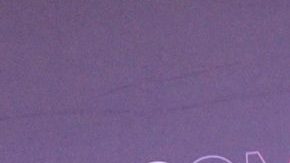 William Levy en Nueva York para el Upfront de Telemundo.