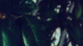 La actriz Anahí se encuentra de celebración.