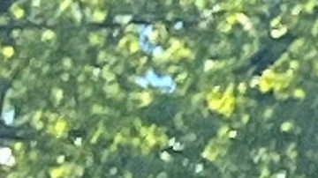 Gino Murillo, trabajador de la construcción