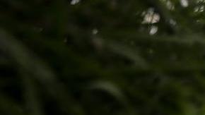 Tropas ucranianas desplazándose en la región del Donestk, al Este de Ucrania