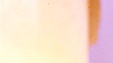 Paco Stanley en el programa de variedades "¡Ándale!" en 1995.