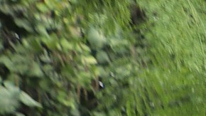 Migrantes Tapachula México