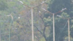 Miles de migrantes llegan a la frontera sur de México ante el fin del Título 42.