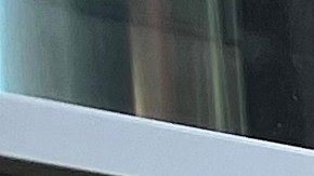 Urgen fin al aislamiento solitario en carceles de NY