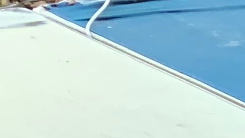 Inmigrantes de NY reclaman a Albany derribar barreras de idioma en agencias estatales