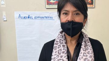 La inquilina mexicana Julia Cabrera, quien vive en Jackson Heights, asegura que la renta ya la tiene ahorcada