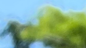 El 27 de junio serán las elecciones primarias 2023 en la Ciudad de Nueva York