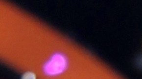 El venezolano Chyno Miranda reaparece en las redes sociales.