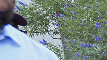 Policías mexicanos desalojan a migrantes varados en calles de la fronteriza Ciudad Juárez.