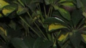 Laura Bozzo no está feliz con la coronación del rey Carlos III y su esposa Camila Parker.