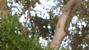 La dominicana Francisca junto a su esposo Francesco Zampogna.