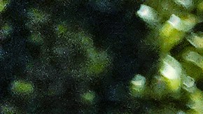 William Levy protagonizará "Vuelve a Mí" para Telemundo.