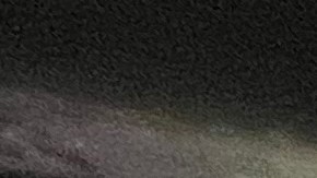 La Ciudad de Nueva York busca tener autoridad sobre el límite de velocidad de los autos