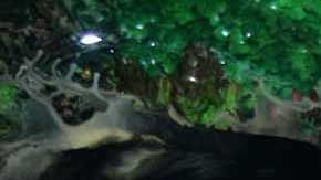 Alfredo Adame pasó de ser protagonista de telenovelas a convertirse en violento crítico de sus colegas de profesión