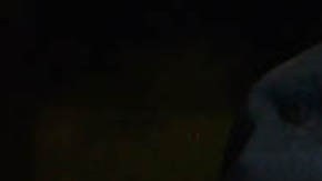 Andrés García nunca se divorció legalmente de Sandra Vale, su primera esposa