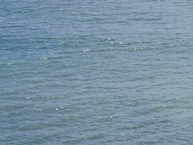 La propiedad está conformada por cinco lotes.