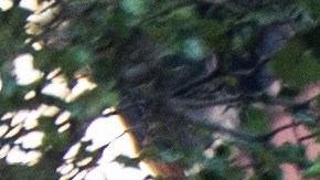 Advancement Campus Shoot