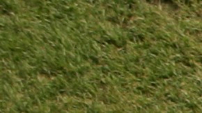 Juego de béisbol menor. Imagen referencial.