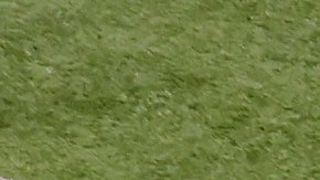 El actual estadio de los Buffalo Bills será demolido.