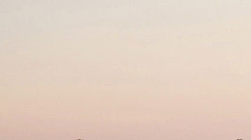 Un centro de reparto de Amazon en Brooklyn, New York, frente a Red Hook Houses, la mayor urbanización pública del distrito.