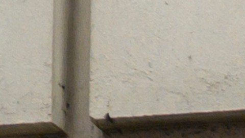 Century 21