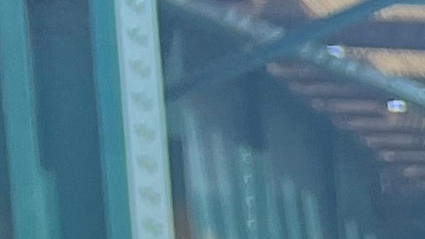 La venezolana Raiza Guevara asegura que la nueva guia va a servir mucho a los inmigrantes