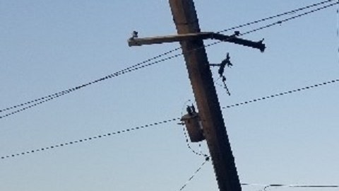 Accidente en Florida