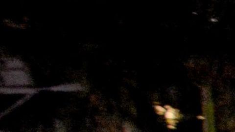 CRIME-VIOLENCE-POLICE