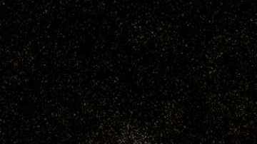 La policía holandesa halló el cuerpo del hombre el sábado pasado.