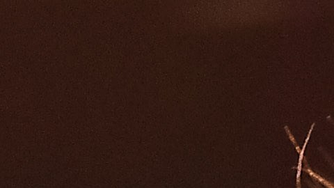 Parece que Anuel AA no ha olvidado a Karol G. El cantante boricua de manera ha generado revuelo en redes sociales al dedicarle una nueva canción a su ex novia.