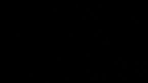 Los tabiques de cocaína tenían símbolos nazis.