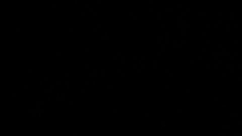 Los tabiques de cocaína tenían símbolos nazis.