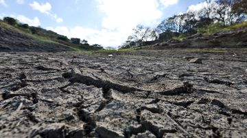 Las sequías podrían agudizarse si se confirma el fenómeno climático El Niño.