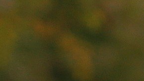 Policía Dallas, Texas