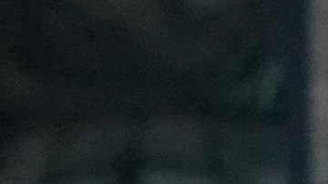 ¿Cómo resolver la plaga de ratas de Nueva York?