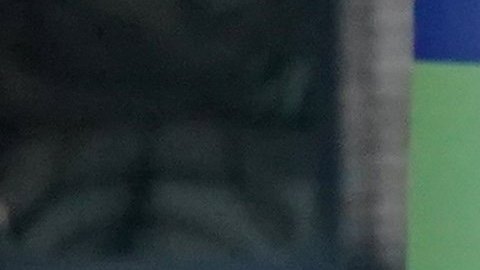 ¿Cómo resolver la plaga de ratas de Nueva York?
