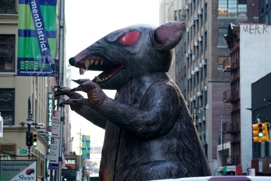 Estrategias para eliminar las plagas de ratas en Nueva York, según la Inteligencia Artificial