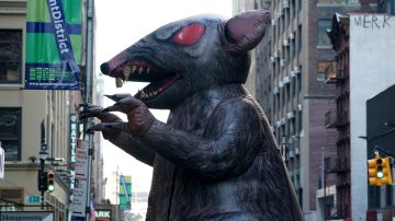 ¿Cómo resolver la plaga de ratas de Nueva York?