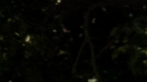 Sismos en Puerto Rico