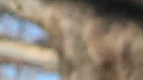 El Departamento de Estado se sumó a las muestras de apoyo que ha recibido Vinícius Jr.