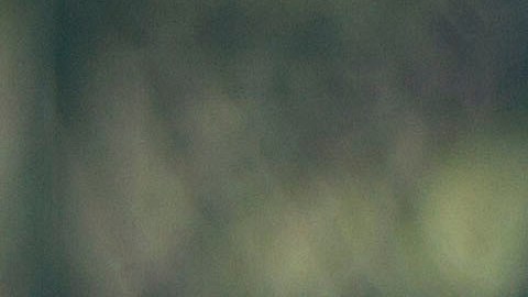 La policía mexicana busca a un presunto agresor sexual.